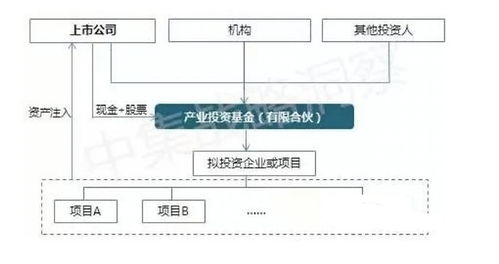 PE與上市公司合作發(fā)起設立產(chǎn)業(yè)并購基金的模式解析——以基礎軟件服務行業(yè)為例